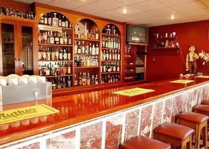 Anamar Zante Argassi