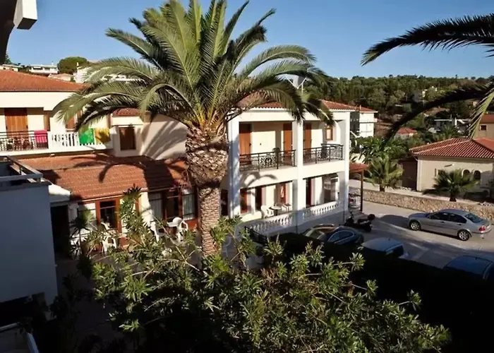 Anamar Zante Argassi