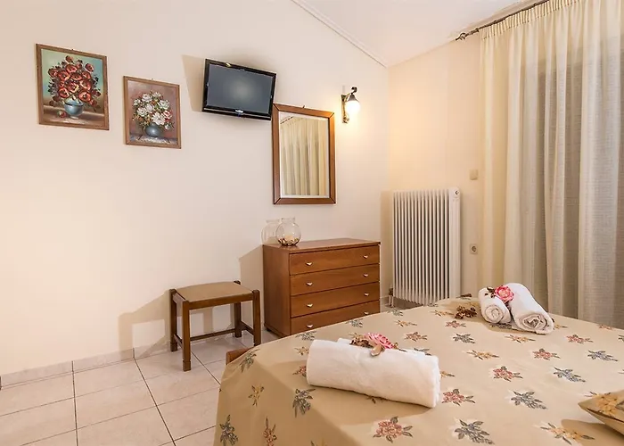 Anamar Zante Argassi