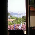 Anamar Zante أرغاسي