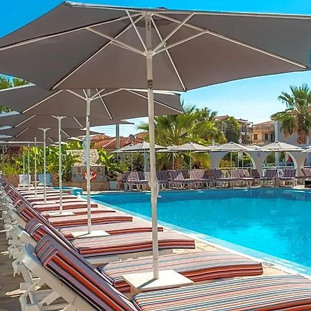 Anamar Zante Argassi