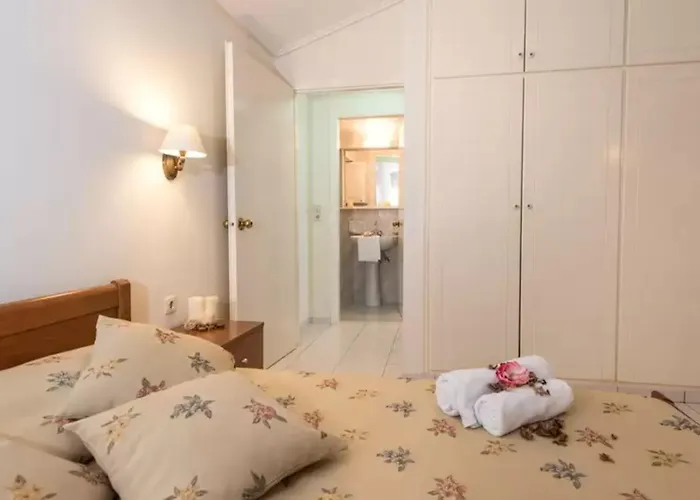 Anamar Zante アルガッシ